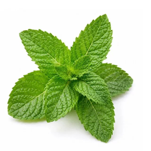 Peppermint